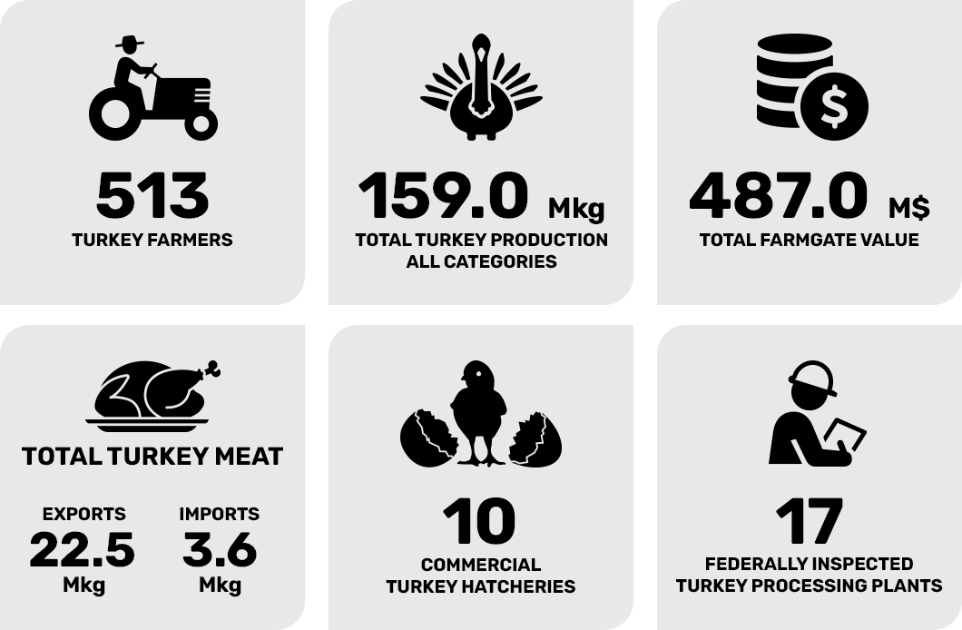 Industry Stats